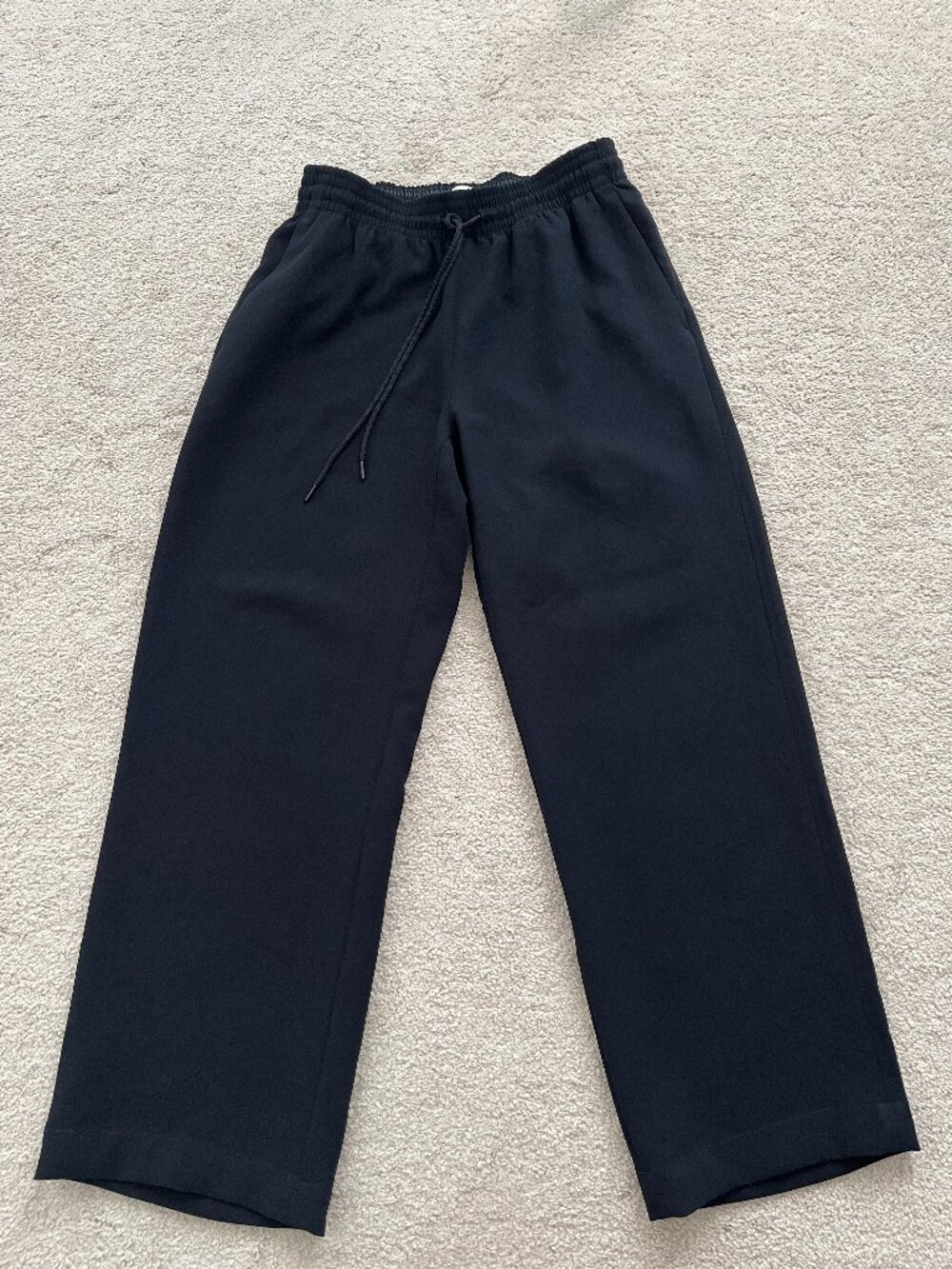 Aritzia Wilfred Thesis Pant